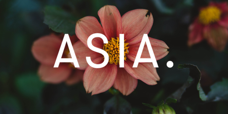 ASIA Skincare&Makeup